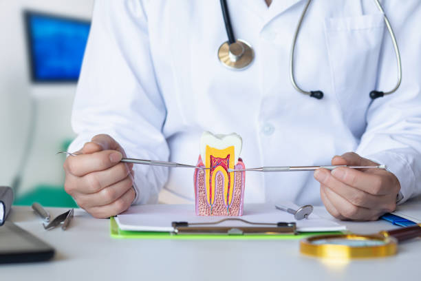 Best Emergency Wisdom Teeth Removal in Harrison, TN